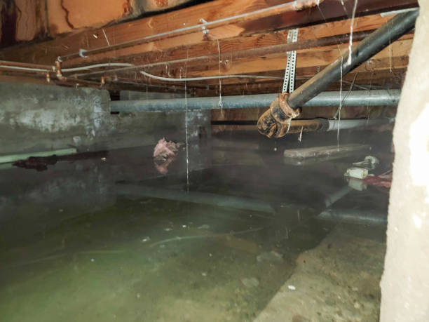 Best Fire Damage Restoration  in Hertford, NC