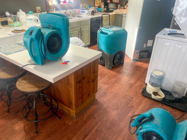 Best Water damage restoration near me  in Hertford, NC