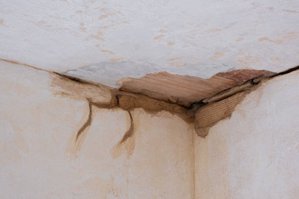 Best Water damage restoration near me  in Hertford, NC
