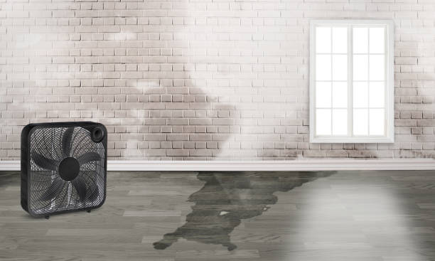 Best Residential water damage restoration  in Hertford, NC